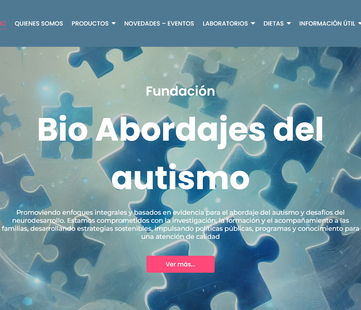 Fundación Bio abordajes del Autismo