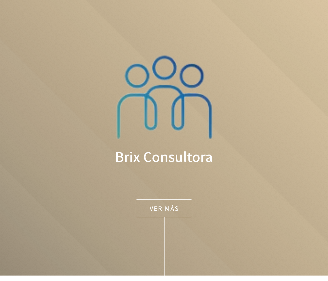 Brix Consultora