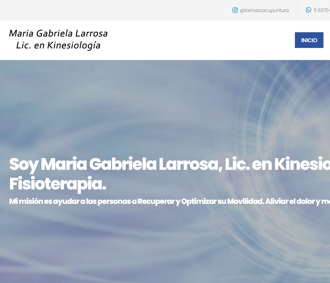 Maria Gabriela Larrosa