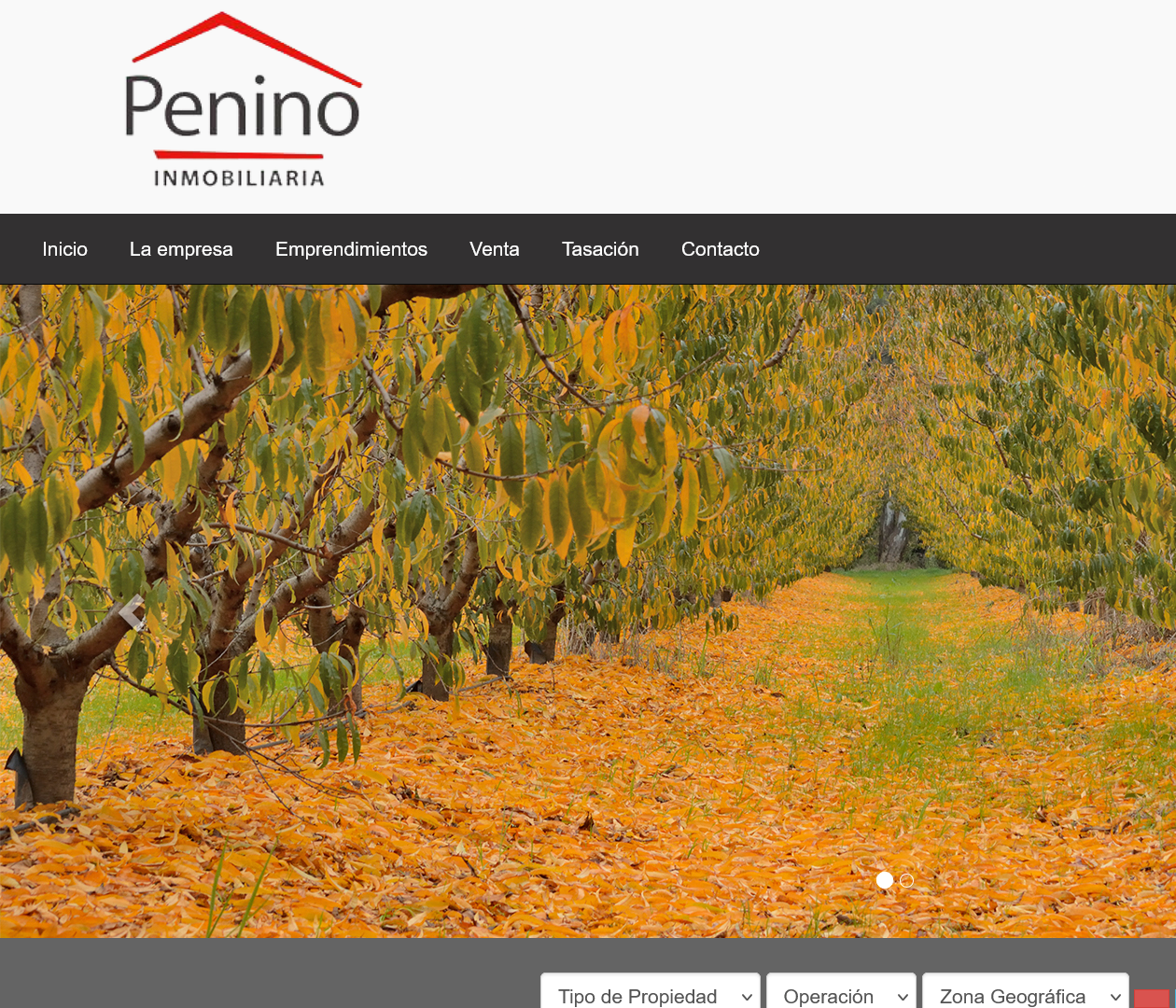 Penino Inmobiliaria
